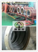 德國西格里石墨EK305材質(zhì)在三相異步電動機(潛水電機)中的應(yīng)用